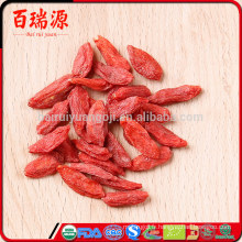 Excellen qualité goji baies fleurs goji berry fruits frais goji berry à vendre aide à réduire le poids